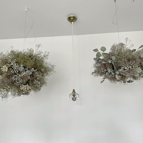 nuage de fumée ꙳ スモークツリー フライングリース ドライフラワー