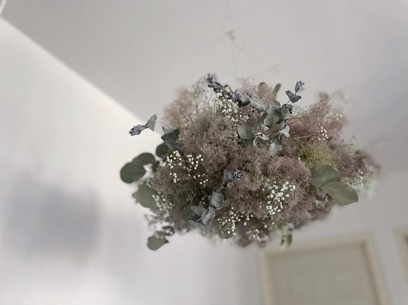 nuage de fumée ꙳ スモークツリー フライングリース ドライフラワー