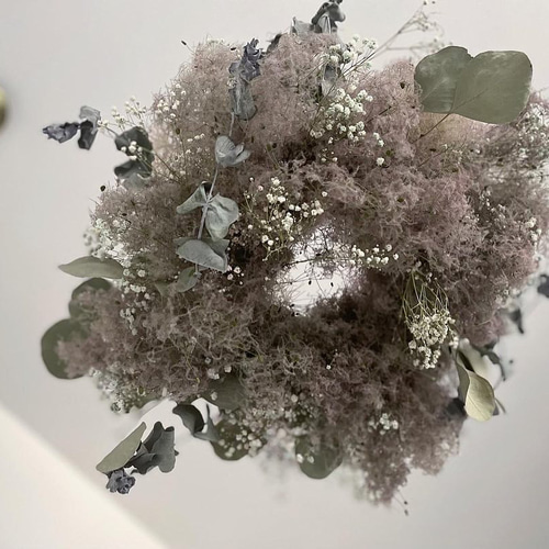 nuage de fumée ꙳ スモークツリー フライングリース ドライフラワー