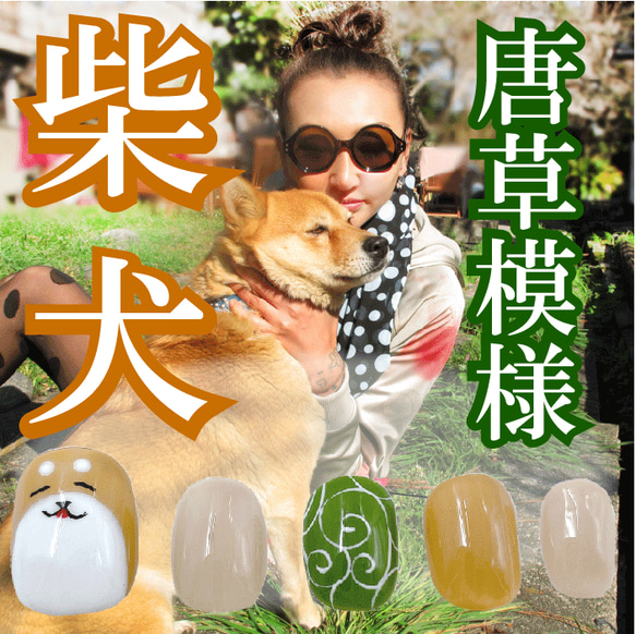 柴犬ネイル 愛犬 しばいぬ ベリーショートネイルチップ ペット 動物 ワンちゃん 唐草模様 からくさ キャラクター 爪 2枚目の画像