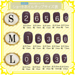 柴犬ネイル 愛犬 しばいぬ ベリーショートネイルチップ ペット 動物 ワンちゃん 唐草模様 からくさ キャラクター 爪 8枚目の画像