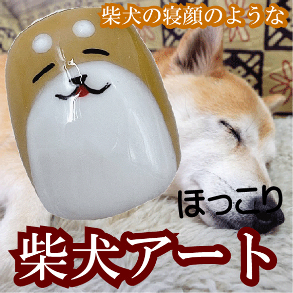 柴犬ネイル 愛犬 しばいぬ ベリーショートネイルチップ ペット 動物 ワンちゃん 唐草模様 からくさ キャラクター 爪 4枚目の画像