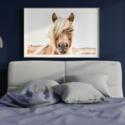 スカンジナビアン アニマルアート 馬 / インテリアポスター 海外アート / 4045 2枚目の画像