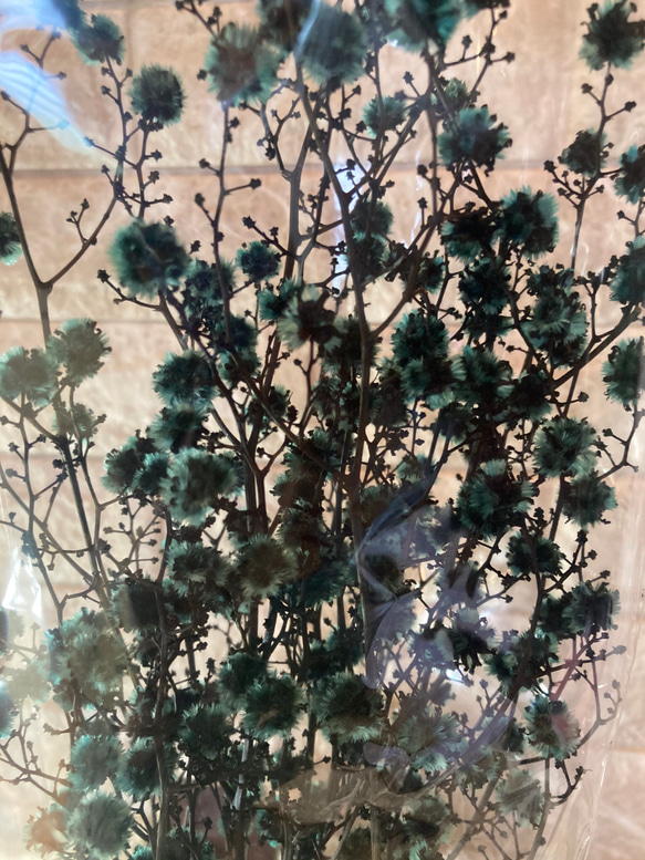 光触媒　人工観葉植物　ウォールグリーン　フェイク　フラワー　スターリンジャー 4枚目の画像