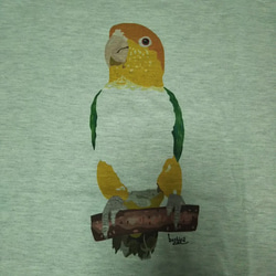 【ご予約受付中】「シロハラインコ」Tシャツ【 サイズ×カラーを選べるオーダーメイド Tシャツ】 5枚目の画像