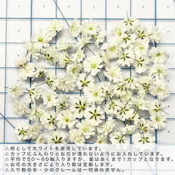 かすみ草　NO.108　ロイヤルブルー　ルビー　ホワイト　ドライフラワー  染め　花材 3枚目の画像