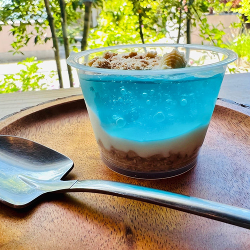 寺泊と赤泊 / 海水ゼリーレアチーズケーキ6個セット【夏スイーツ