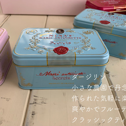 NINA’S Royal box for tea *Marie Antoinette tea box 4枚目の画像