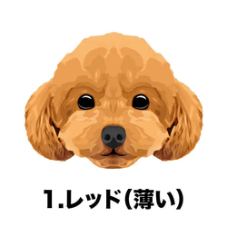 【 トイプードル  毛色7色 横向きデザイン】スマホケース クリアソフトケース 犬 iPhone & Android 2枚目の画像