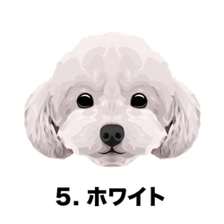 【 トイプードル  毛色7色 横向きデザイン】スマホケース クリアソフトケース 犬 iPhone & Android 6枚目の画像