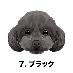 【 トイプードル  毛色7色 横向きデザイン】スマホケース クリアソフトケース 犬 iPhone & Android 8枚目の画像