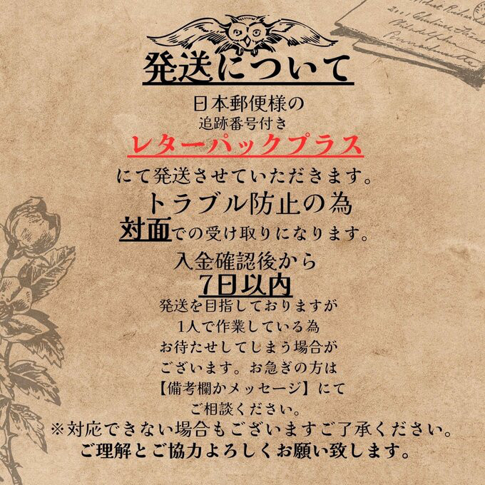 【ネックレス】海水晶標本【クラゲ】