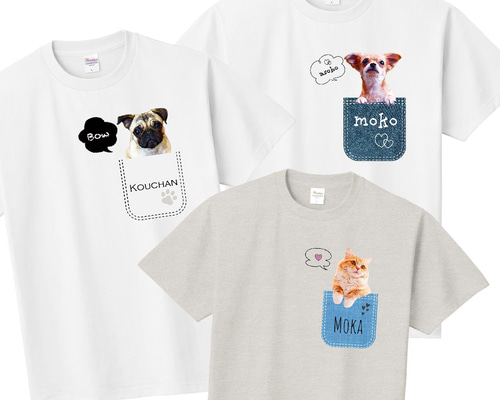 c732190ae5bba88316508668601185