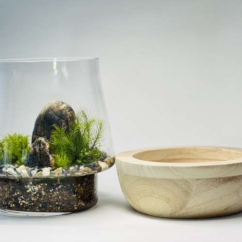 苔テラリウム【水】※受注販売 テラリウム 6F MOSS WORK 通販