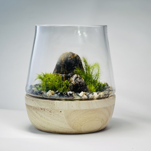 苔テラリウム　72 楽天市場】【 苔テラリウム制作キット 渓流タイプ 】クリアの砂
