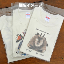 【送料無料】 Tシャツ　（縄文猪）受注生産 4枚目の画像