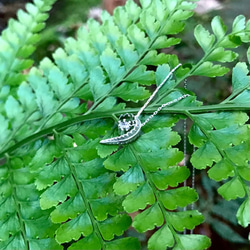 シダ  ーpteridophyteー（ネックレス） 1枚目の画像