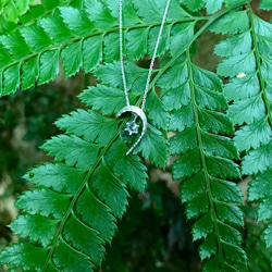 シダ  ーpteridophyteー（ネックレス） 2枚目の画像