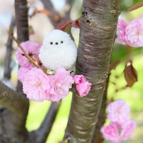 シマエナガのぽんぽん シマエナガ エナガ ぬいぐるみ kunchamy 通販