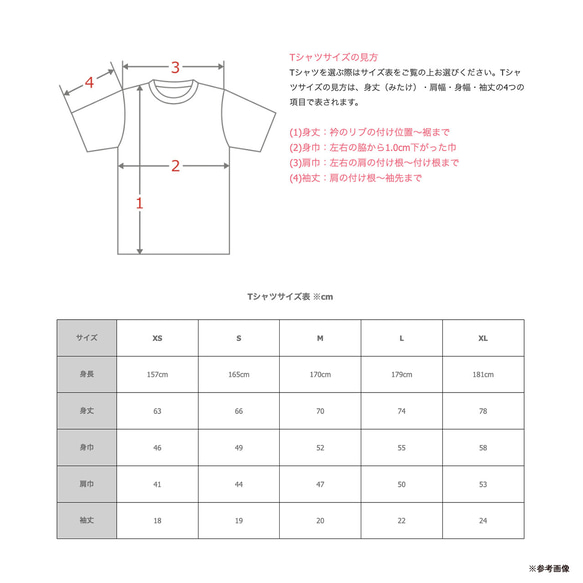 エキゾチックショートヘア猫のアートTシャツ 全12色 XS〜3XLサイズ 選べる生地・ビッグシルエット（グランジ） 17枚目の画像