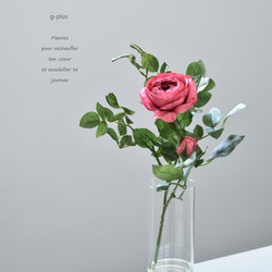 咲き続ける大輪バラ(ダークピンク)　マジカルウォーター　癒しのフラワーインテリア 1枚目の画像