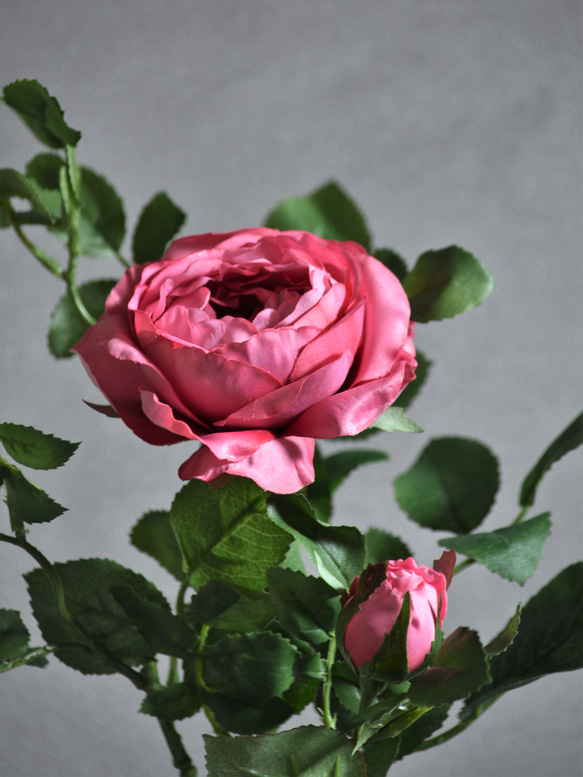 咲き続ける大輪バラ(ダークピンク)　マジカルウォーター　癒しのフラワーインテリア 5枚目の画像