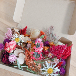 【無農薬　自然色　花材アソート】15個セット　ナチュラル花材 5枚目の画像