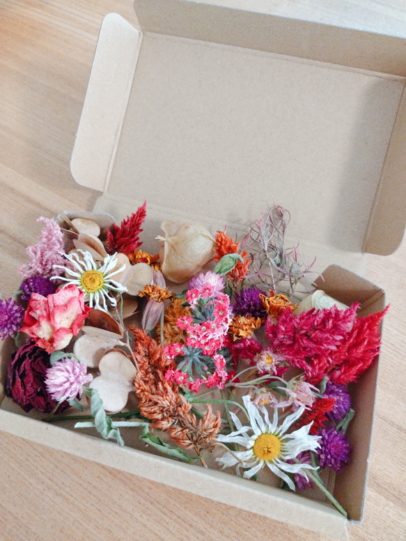 【無農薬　自然色　花材アソート】15個セット　ナチュラル花材 5枚目の画像