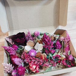 【無農薬　自然色　花材アソート】15個セット　ナチュラル花材 4枚目の画像