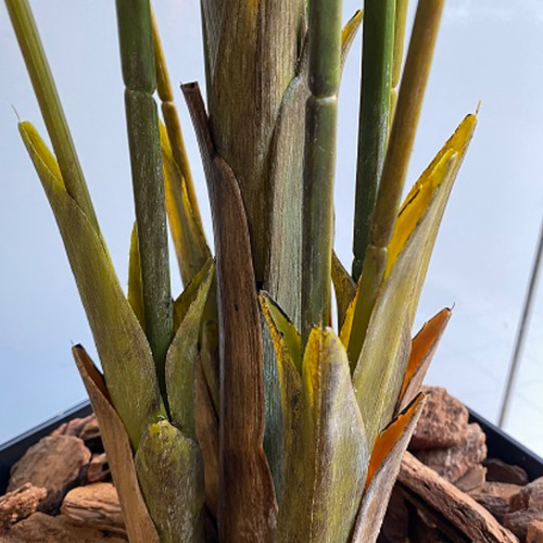 光触媒 人工観葉植物 ウォールグリーン フェイク フラワー 室外用  