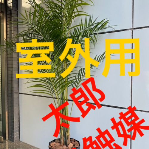 光触媒人工観葉植物ウォールグリーンフェイクグリーン室外用