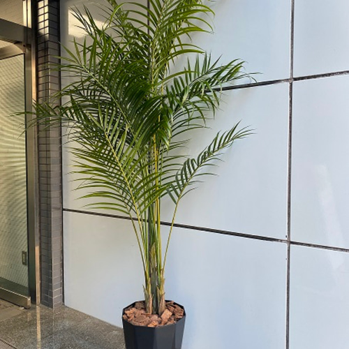 光触媒 人工観葉植物 ウォールグリーン フェイクグリーン アレカヤシ