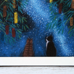 ポストカード3枚セット猫パステル画+１〈トロとクロの夏休み〉朝顔・七夕・スイカ割り 3枚目の画像