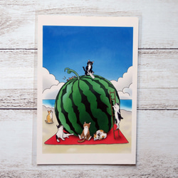 ポストカード3枚セット猫パステル画+１〈トロとクロの夏休み〉朝顔・七夕・スイカ割り 5枚目の画像