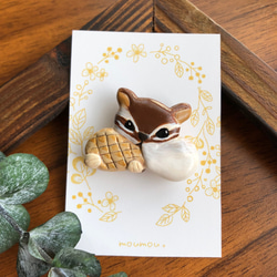 マグネット】ナッツをもぐもぐ リスさんのマグネット マグネット