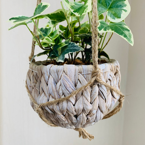 新生活応援♡】吊るして楽しむ『斑入りアイビー』ナチュラルバスケット