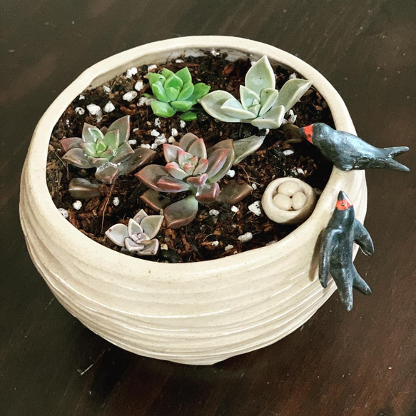陶器　インコさんの植木鉢 10枚目の画像