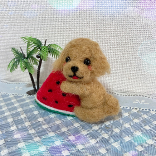 ❤️専用❤️多肉植物❤️スイカ三毛猫ちゃん❤️ 三毛猫 on X: 
