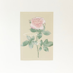 ピンクオレンジのバラのポストカード Thank You【A-1】 1枚目の画像
