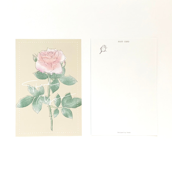 ピンクオレンジのバラのポストカード Thank You【A-1】 3枚目の画像