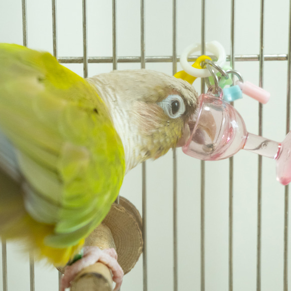 【鳥のおもちゃ】おかえりパフェ（文鳥・インコ向け） 15枚目の画像