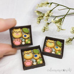 ミニチュアクッキー　ねこ　抹茶　クッキー缶　ミニチュアスイーツ　ミニチュアフード　miniature  Cookie 1枚目の画像
