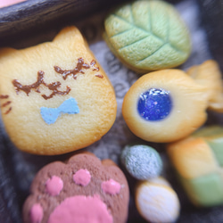 ミニチュアクッキー　ねこ　抹茶　クッキー缶　ミニチュアスイーツ　ミニチュアフード　miniature  Cookie 4枚目の画像