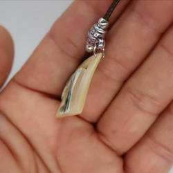 夜光貝のペンダント 4枚目の画像