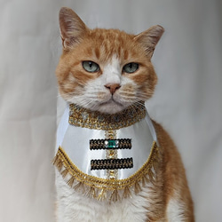 【ニャンコさま専用】 ハンドメイド　コスチューム 83280_1_expand.jpg