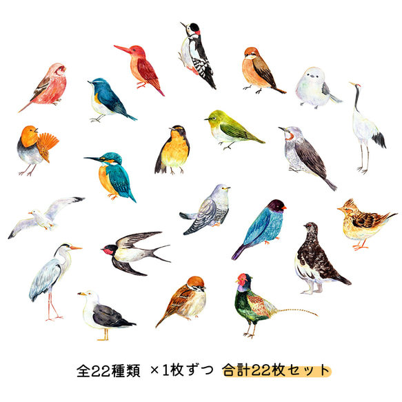 【22枚セット】日本の野鳥 絵本風ミニステッカー 全22種類 3枚目の画像