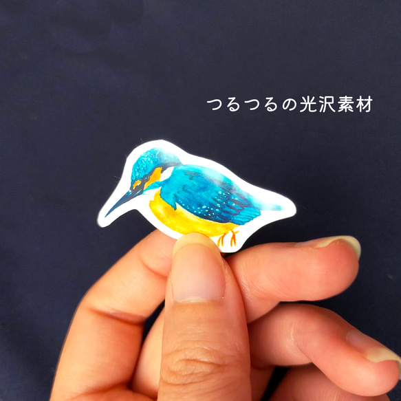 【22枚セット】日本の野鳥 絵本風ミニステッカー 全22種類 6枚目の画像