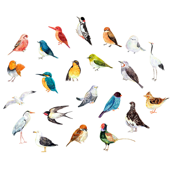 【22枚セット】日本の野鳥 絵本風ミニステッカー 全22種類 2枚目の画像
