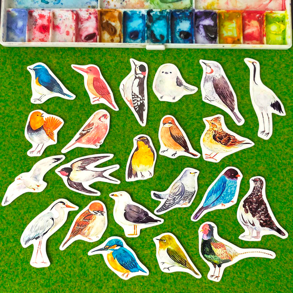 【22枚セット】日本の野鳥 絵本風ミニステッカー 全22種類 1枚目の画像