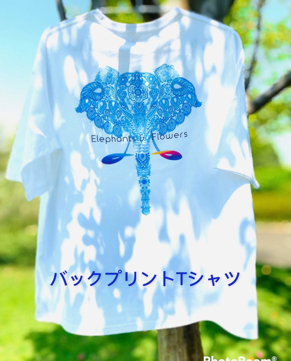 バックプリント 5.6オンス:ヘビーウエイトプリントTシャツ　elephants in rainbow 1枚目の画像